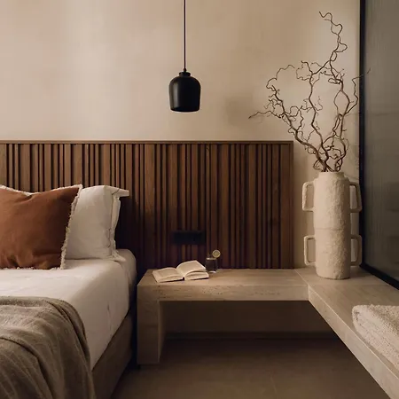 Valerozo - Exclusive Beachside Experience Villa Amoudi